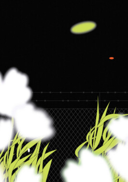 ⚫︎ Ann Pajuväli