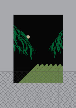 ⚫︎ Ann Pajuväli