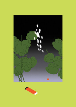 ⚫︎ Ann Pajuväli