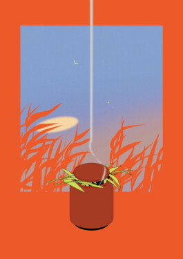 ⚫︎ Ann Pajuväli