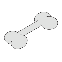 ⚫︎ Ann Pajuväli