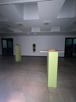 ⚫︎ Ann Pajuväli