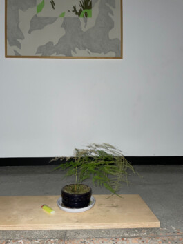 ⚫︎ Ann Pajuväli