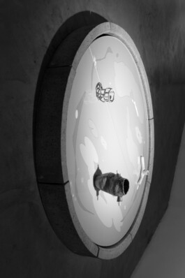 ⚫︎ Ann Pajuväli