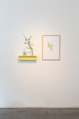 ⚫︎ Ann Pajuväli