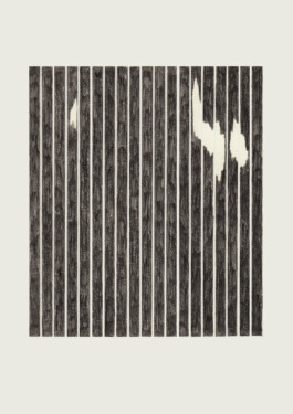 ⚫︎ Ann Pajuväli