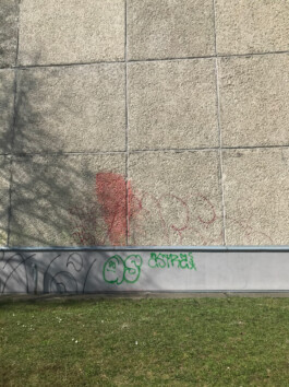 ⚫︎ Ann Pajuväli