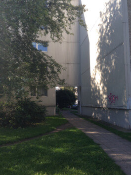 ⚫︎ Ann Pajuväli