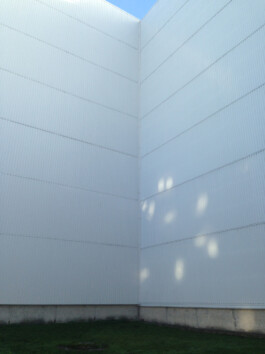 ⚫︎ Ann Pajuväli