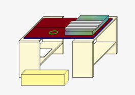 ⚫︎ Ann Pajuväli