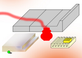 ⚫︎ Ann Pajuväli