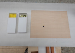 ⚫︎ Ann Pajuväli