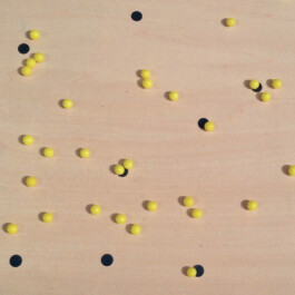 ⚫︎ Ann Pajuväli