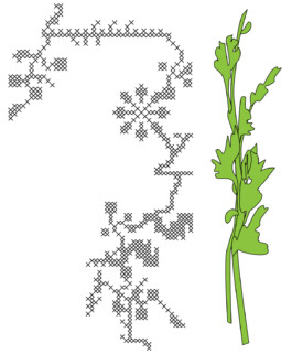 ⚫︎ Ann Pajuväli