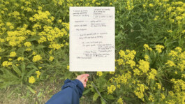 ⚫︎ Ann Pajuväli