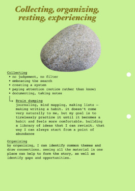 ⚫︎ Ann Pajuväli