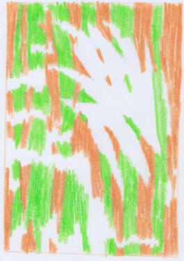 ⚫︎ Ann Pajuväli