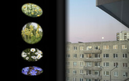 ⚫︎ Ann Pajuväli