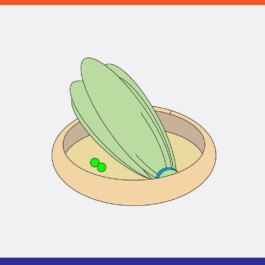 ⚫︎ Ann Pajuväli