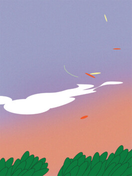 ⚫︎ Ann Pajuväli