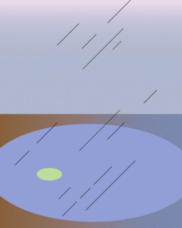 ⚫︎ Ann Pajuväli